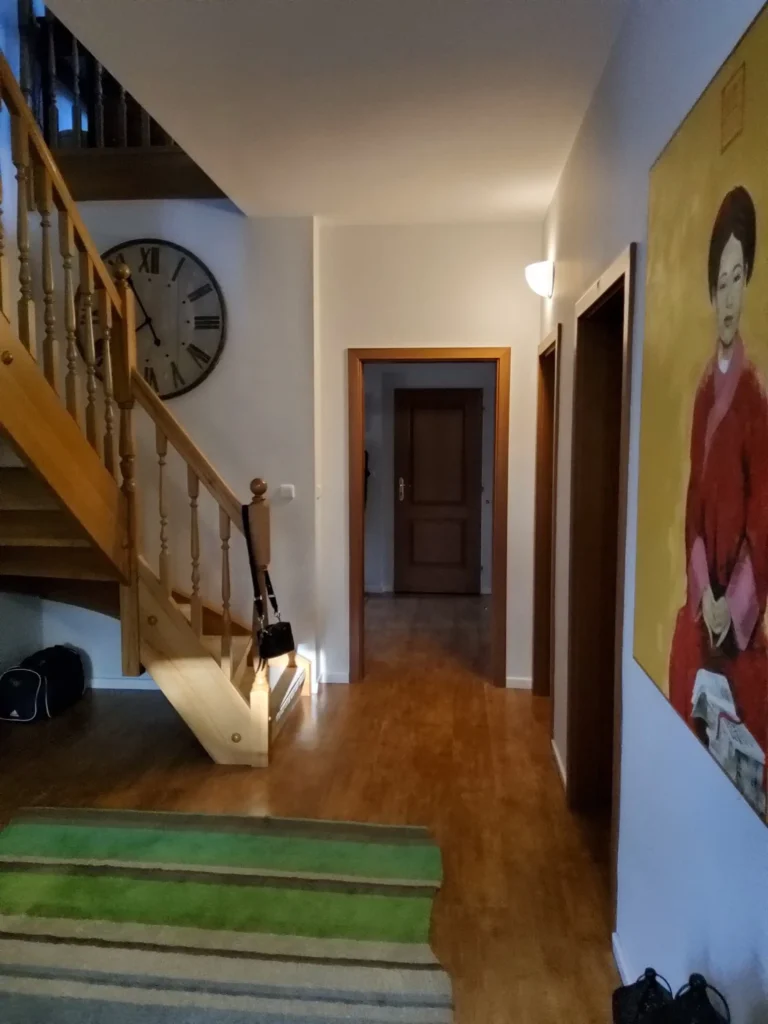 Family house before reconstruction/ Interior design Prague Olina Puchalova