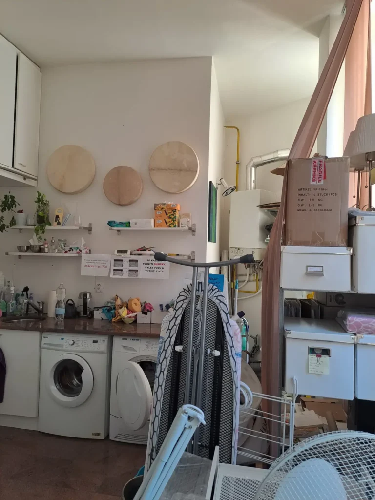 Historický byt před rekonstrukci/ Interiérový design Praha Olina Puchalová